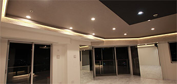 LEDԐڏƖVݍH
